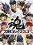 Pro Yakyuu Spirits 2013