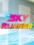 Sky Runner