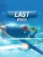 Last Wings